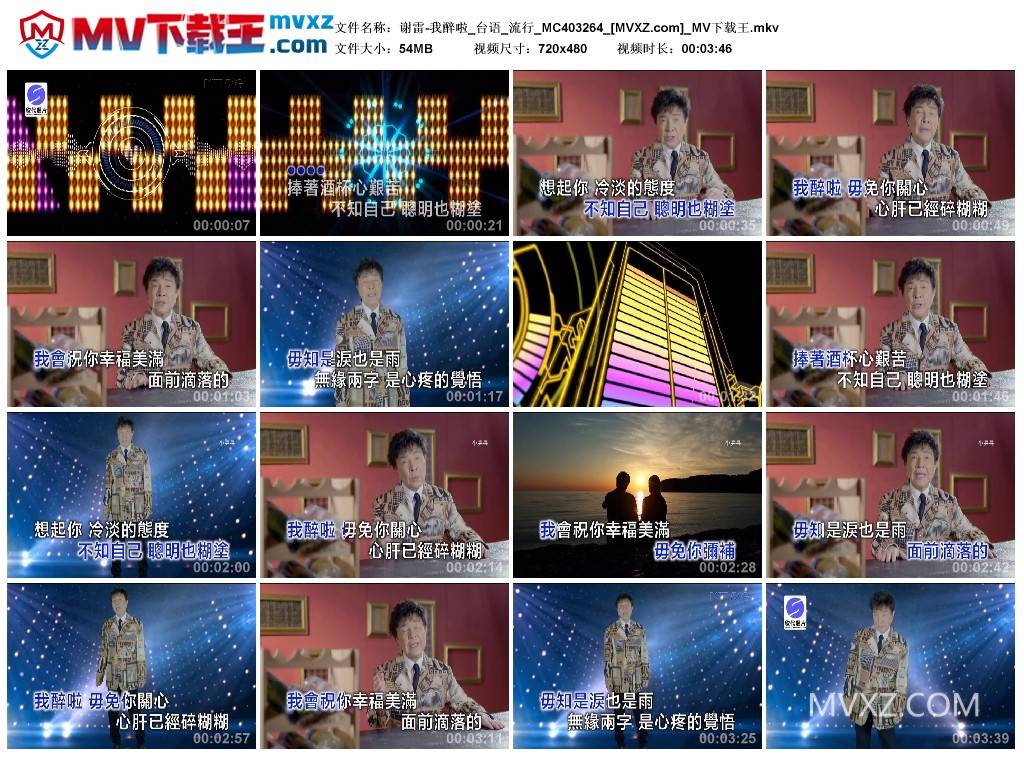 谢雷-我醉啦_台语_流行_MC403264